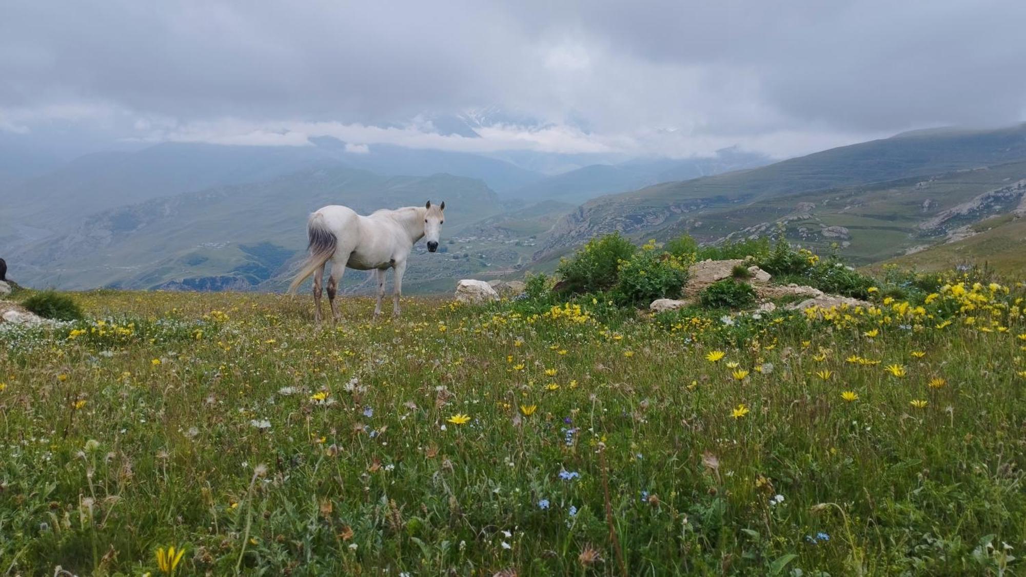 Zaur Guest Hause Otel Xinaliq Dış mekan fotoğraf
